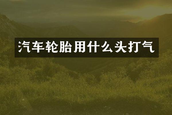 汽车轮胎用什么头打气