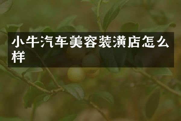 小牛汽车美容装潢店怎么样