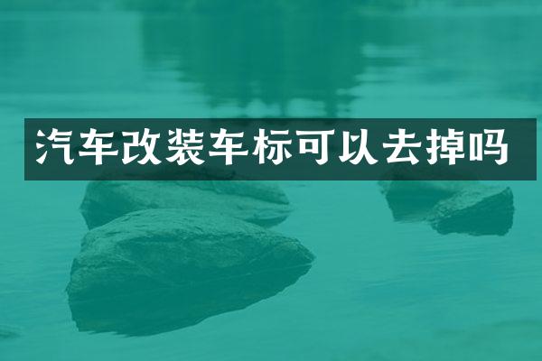 汽车改装车标可以去掉吗