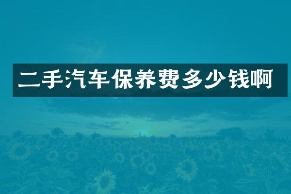 二手汽车保养费多少钱啊