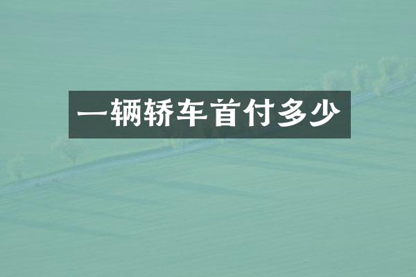 一辆轿车首付多少