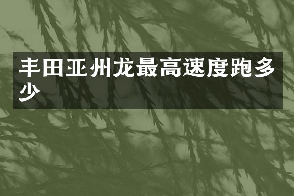丰田亚州龙最高速度跑多少