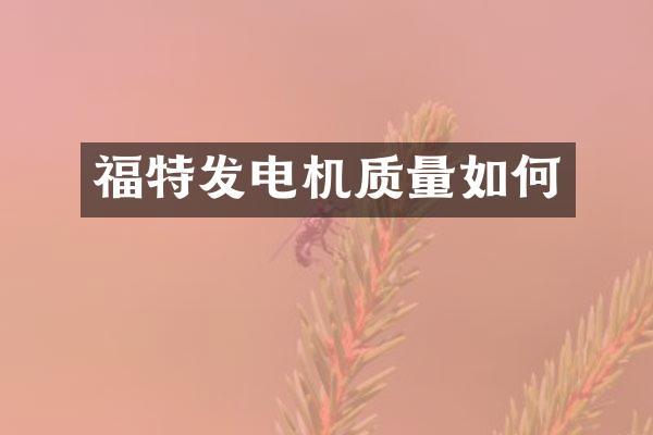 福特发电机质量如何