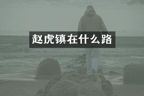 赵虎镇在什么路