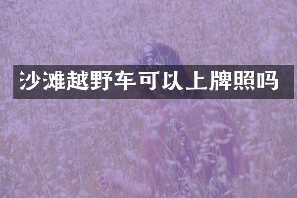 沙滩越野车可以上牌照吗