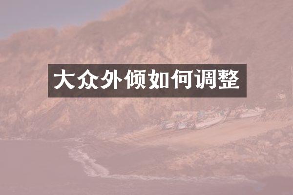 大众外倾如何调整