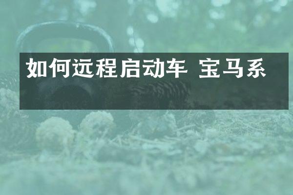 如何远程启动车 宝马系统