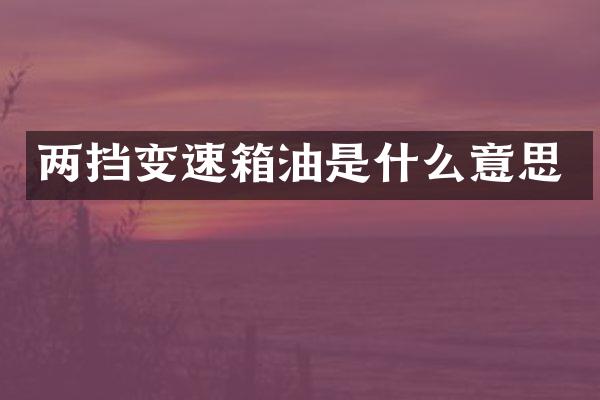 两挡变速箱油是什么意思