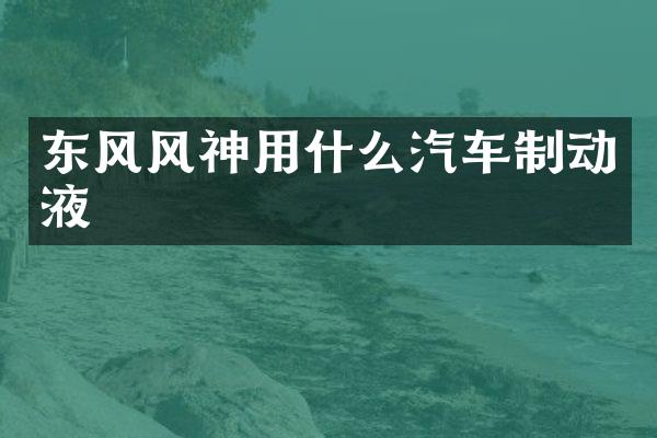 东风风神用什么汽车制动液