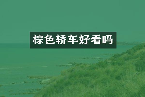 棕色轿车好看吗