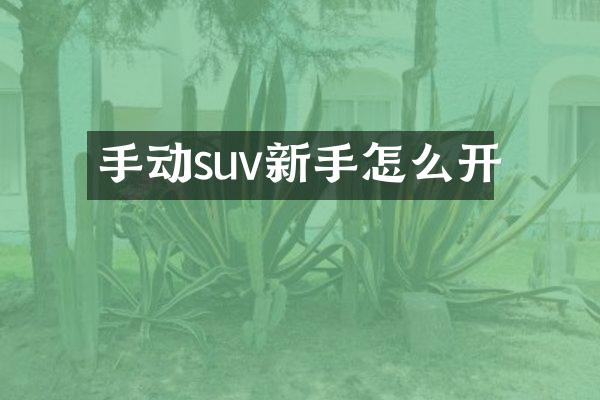 手动suv新手怎么开