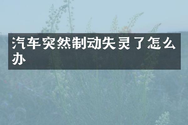 汽车突然制动失灵了怎么办