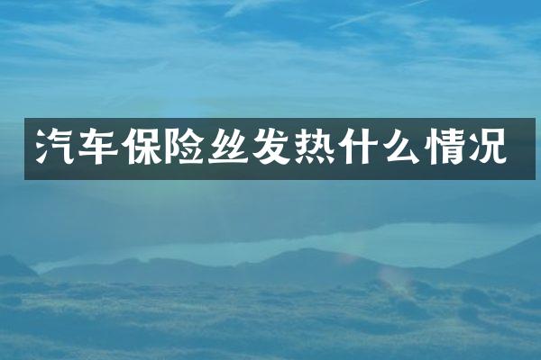 汽车保险丝发热什么情况