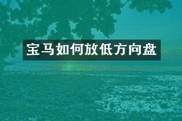 宝马如何放低方向盘