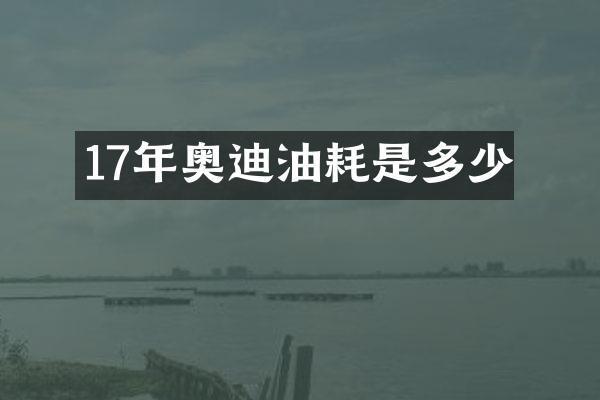 17年奥迪油耗是多少
