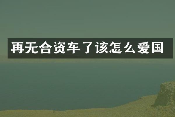 再无合资车了该怎么爱国
