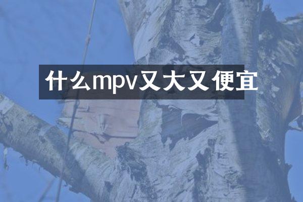 什么mpv又大又便宜