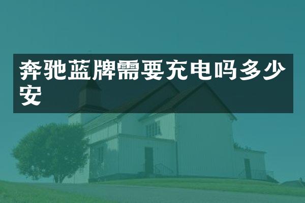 奔驰蓝牌需要充电吗多少安