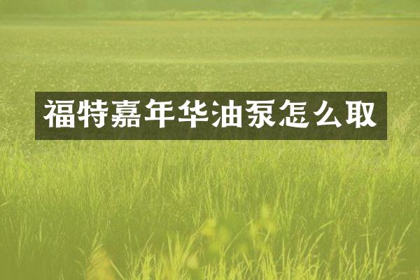 福特嘉年华油泵怎么取