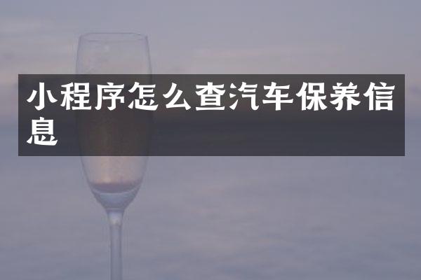 小程序怎么查汽车保养信息