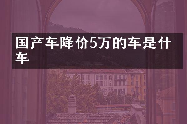 国产车降价5万的车是什么车