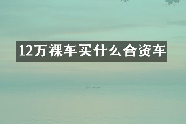12万裸车合资车