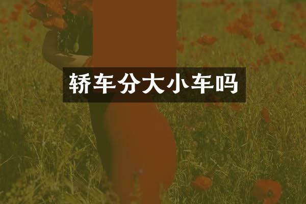 轿车分大小车吗
