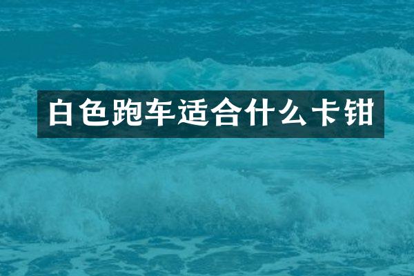 白色跑车适合什么卡钳