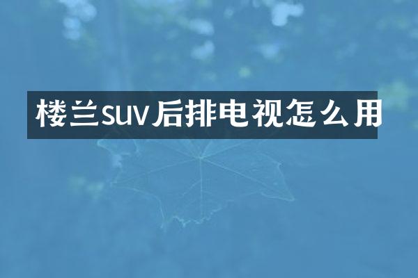 楼兰suv后排电视怎么用