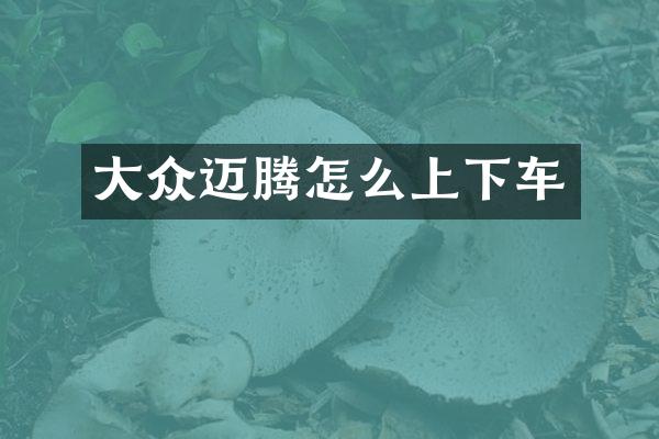 大众迈腾怎么上下车