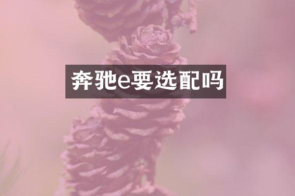 奔驰e要选配吗