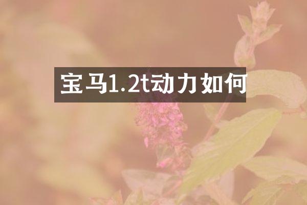 宝马1.2t动力如何