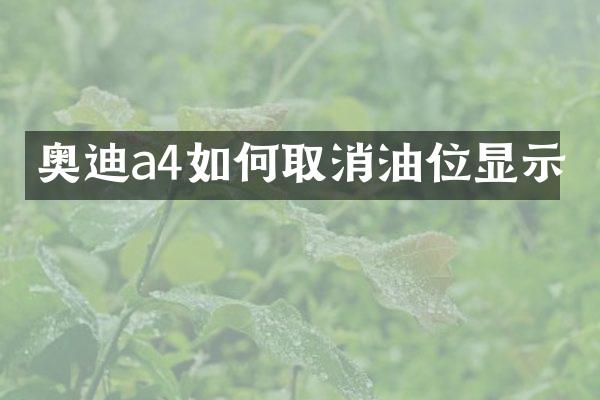 奥迪a4如何取消油位显示