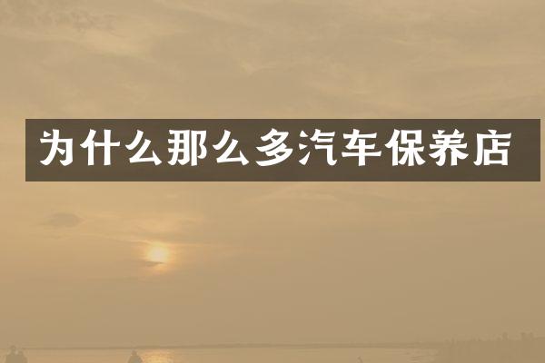 为什么那么多汽车保养店