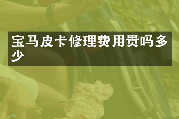 宝马皮卡修理费用贵吗多少