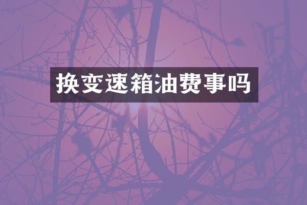 换变速箱油费事吗