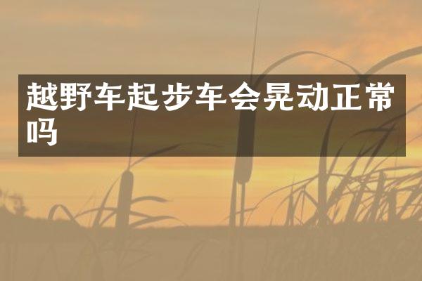 越野车起步车会晃动正常吗