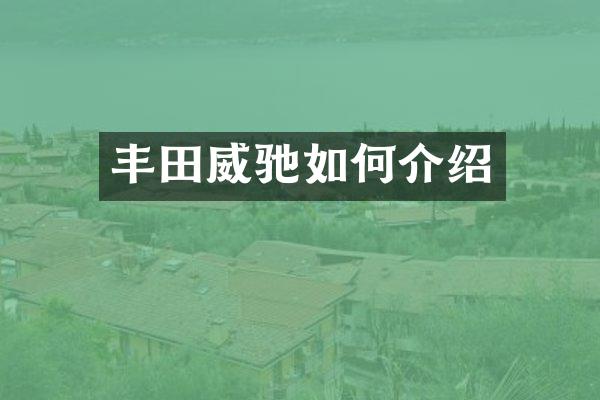 丰田威驰如何介绍