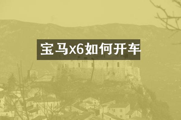 宝马x6如何开车