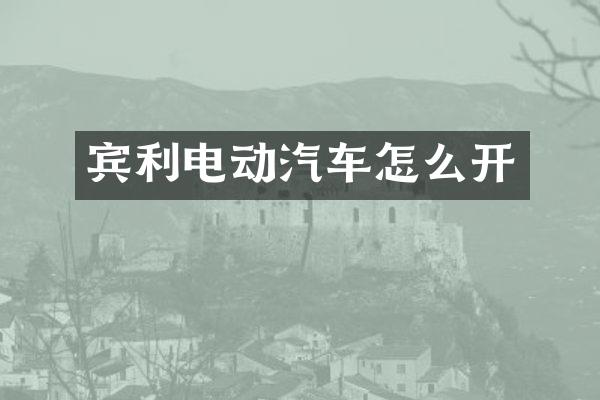 宾利电动汽车怎么开