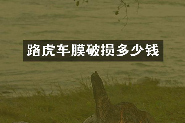 路虎车膜破损多少钱