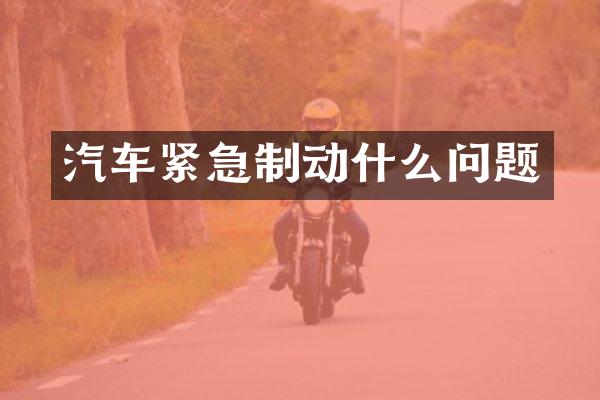 汽车紧急制动什么问题