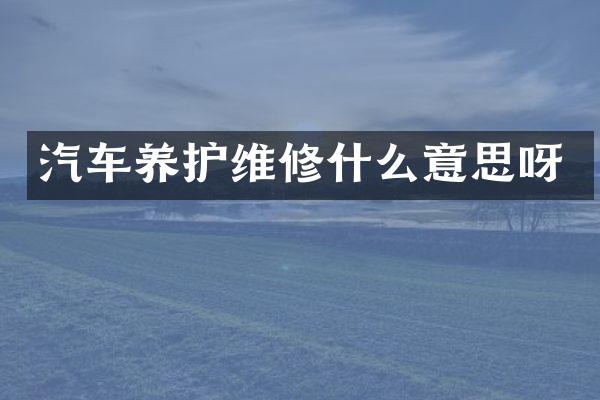 汽车养护维修什么意思呀