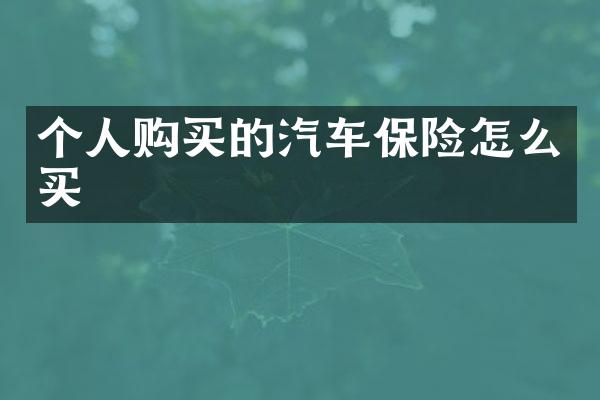 个人购买的汽车保险怎么买
