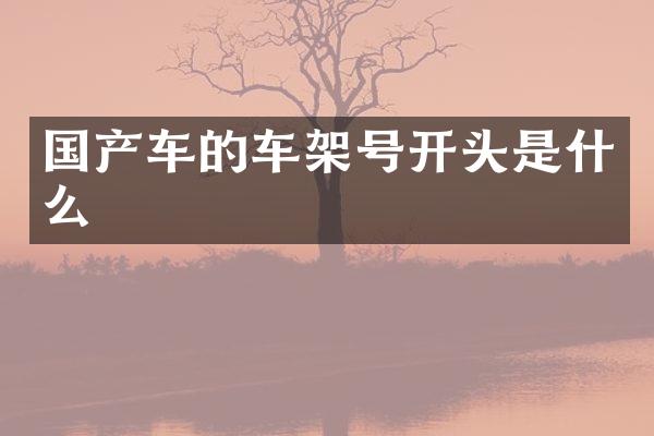 国产车的车架号开头是什么
