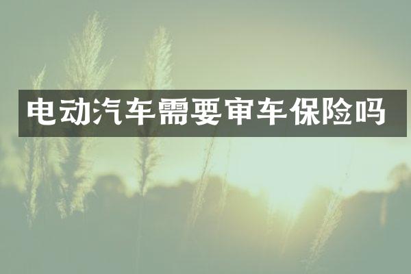 电动汽车需要审车保险吗