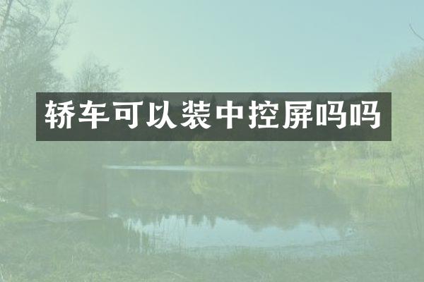 轿车可以装中控屏吗吗