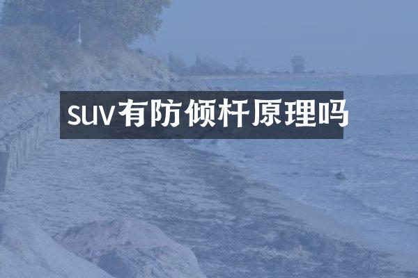suv有防倾杆原理吗