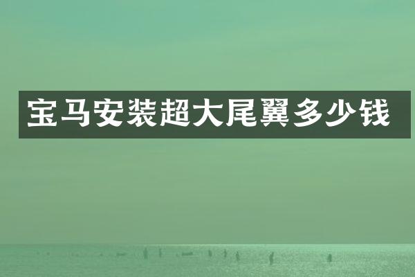 宝马安装超大尾翼多少钱