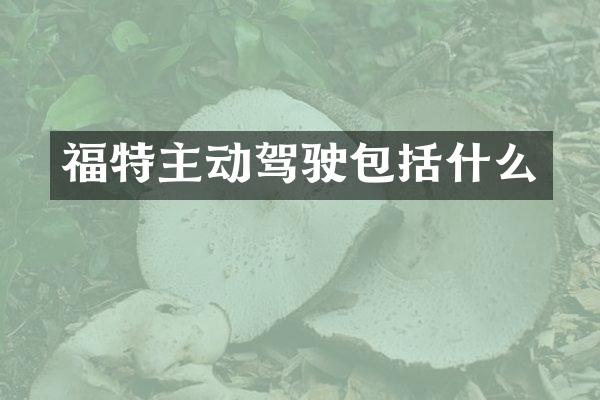 福特主动驾驶包括什么